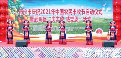 中国农民丰收节的庆祝活动