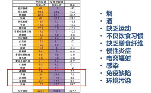 中国节日礼仪的演变