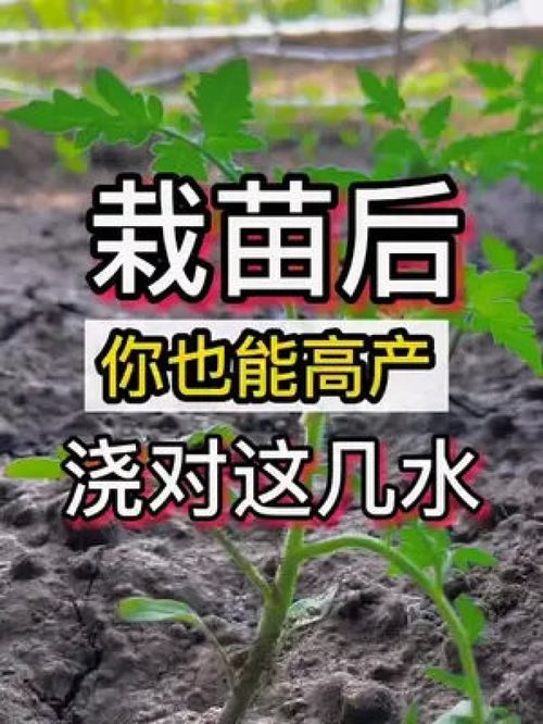 农业科技种植技术推广