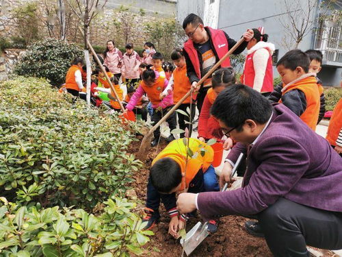 种植主题活动名称