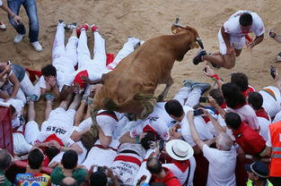 西班牙奔牛节的由来及特点