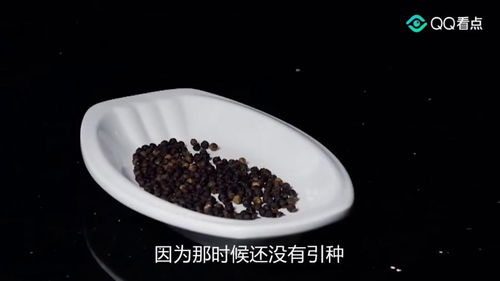 中国饮食文化的发展