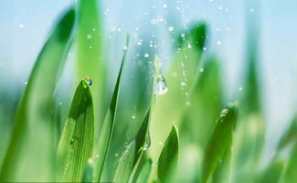 雨水有利于农作物生